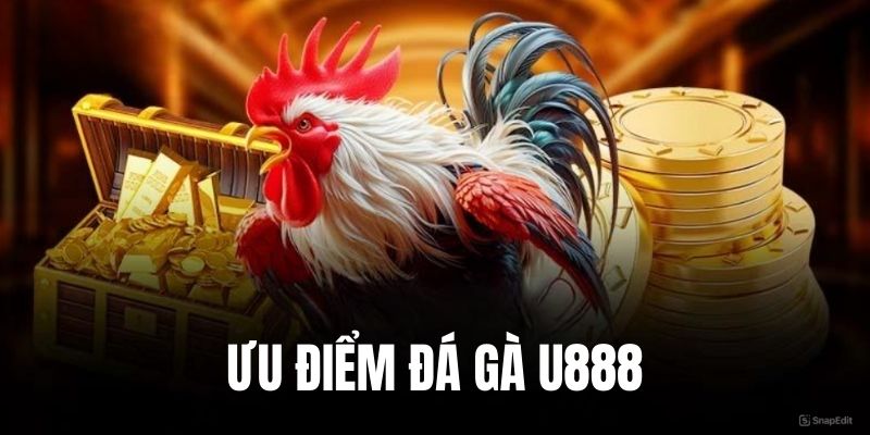 Ưu điểm nổi bật sảnh đá gà U888